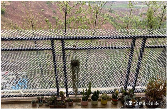 有什么养猫不封窗的方法,为什么养猫不封窗