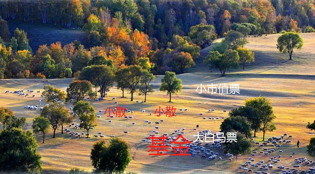 通过机构选股绝招,与机构同步选股