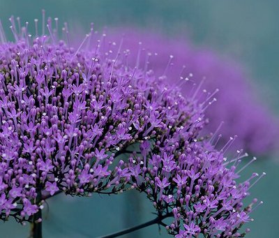 原谅我知识浅薄,原谅我知识浅薄这什么意思