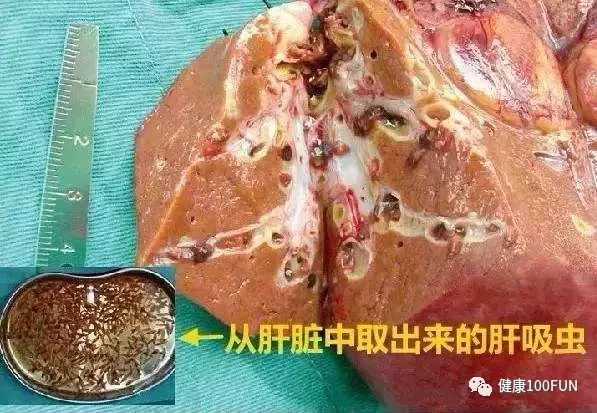 夏天吃海鲜好不好,夏天吃海鲜会怎样