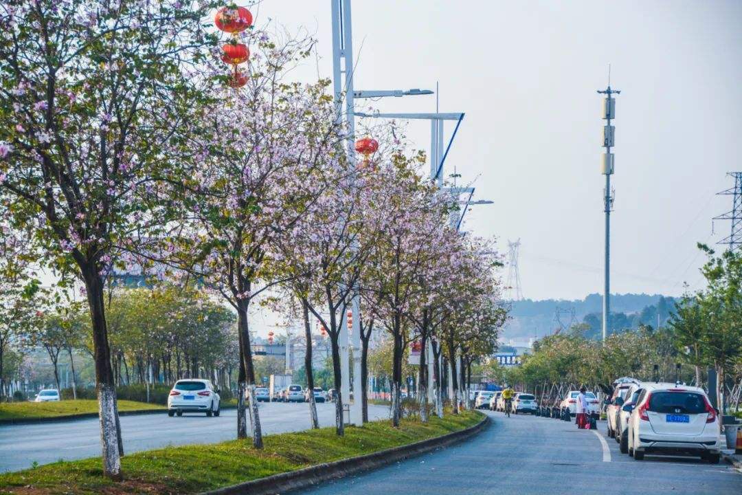 全国首个gdp破万亿区,全国首个gdp破5000亿元县级市