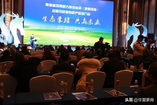 河南县域招商引资,河南招商引资项目