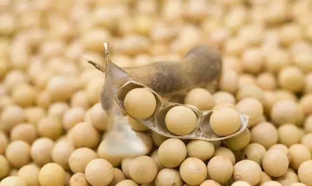 这份女性调补大全，赶快为她收藏吧！