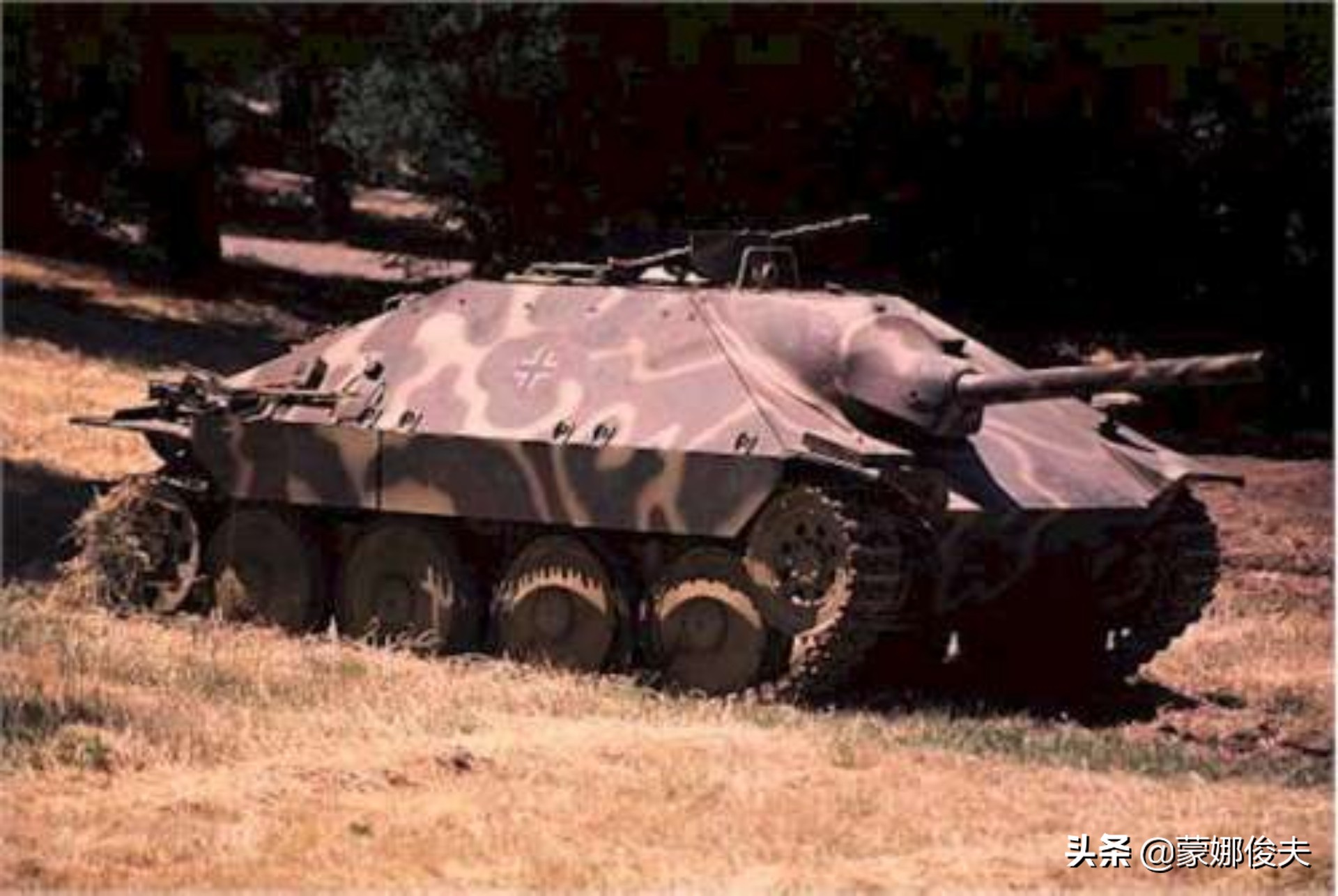 为什么二战德国被那么多人崇拜,德粉到底怎么样