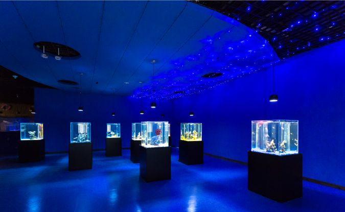 天津海昌极地海洋公园攻略详细,天津海昌极地海洋公园详细攻略