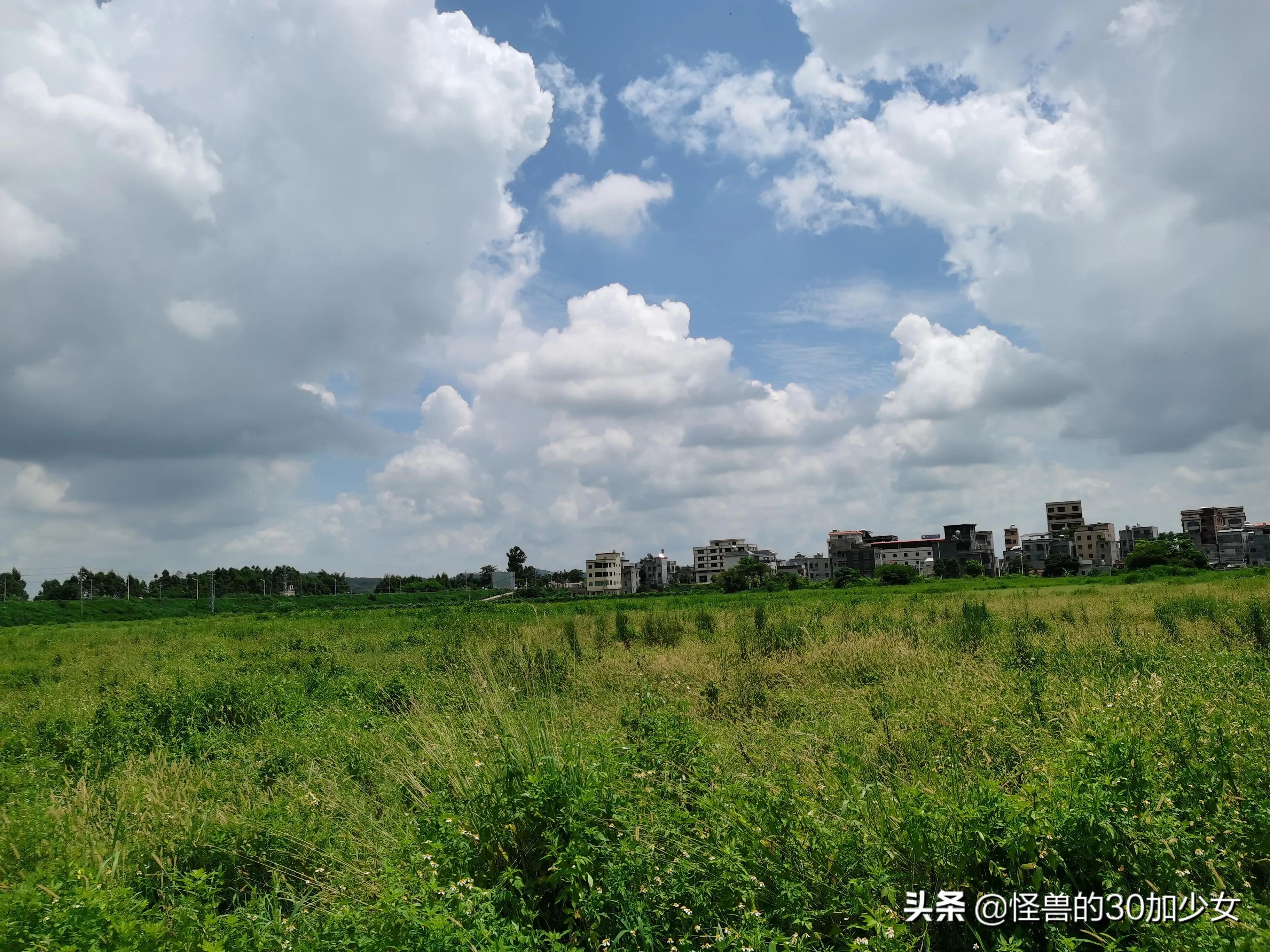 飘过，那一年，找工作的一个小故事