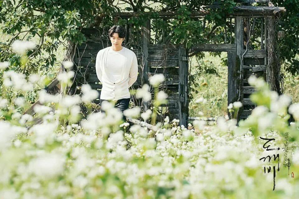 广西这片地方，美如仙境，万里雪白花海，春去旅居好去处