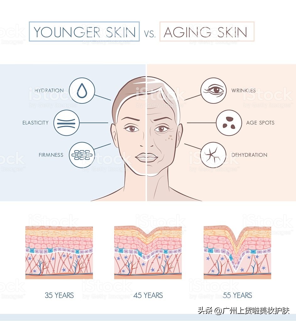 补充胶原蛋白真的能被皮肤吸收吗,你知道胶原蛋白对皮肤的作用吗