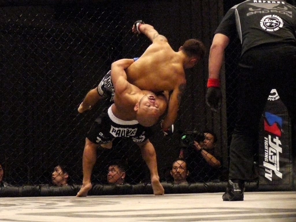 mma包含了哪些格斗,mma是从拳击里面演变来的吗