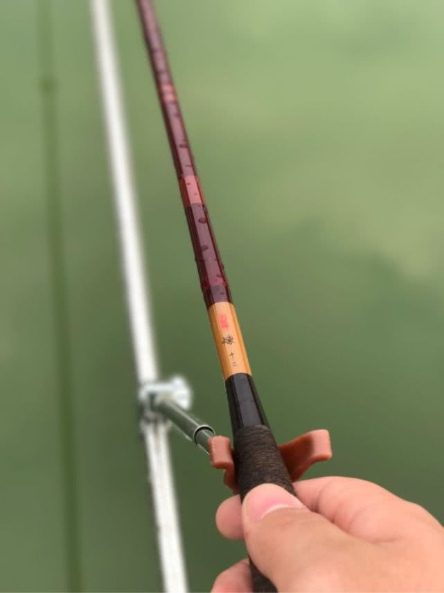 如何看待钓竿乱象,什么叫钓竿乱象