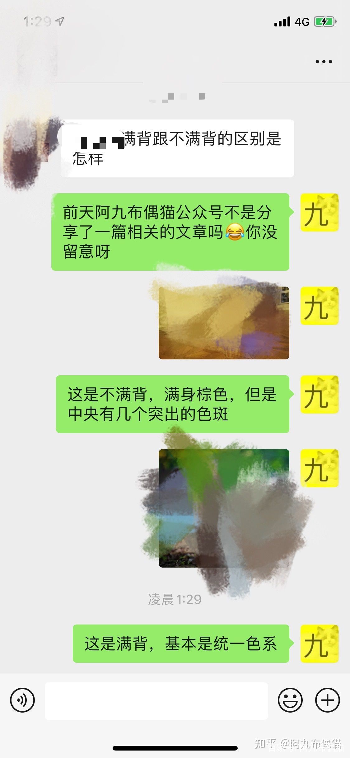 布偶猫舍推荐买什么猫粮,正规布偶猫舍推荐及其地理位置