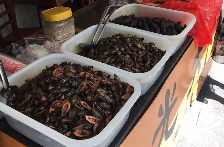 国内对槟榔政策,国家要对槟榔出手了吗