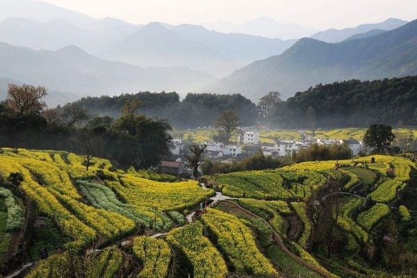 清明时节吃什么美食,清明时节江南地区要吃哪种美食