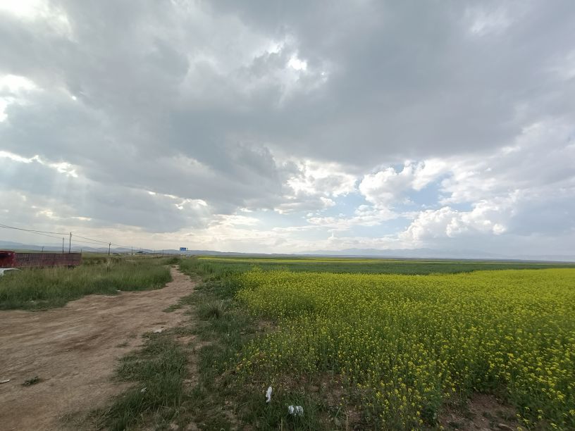 电商直播带货培训班讲话,电商直播带货培训技巧文案