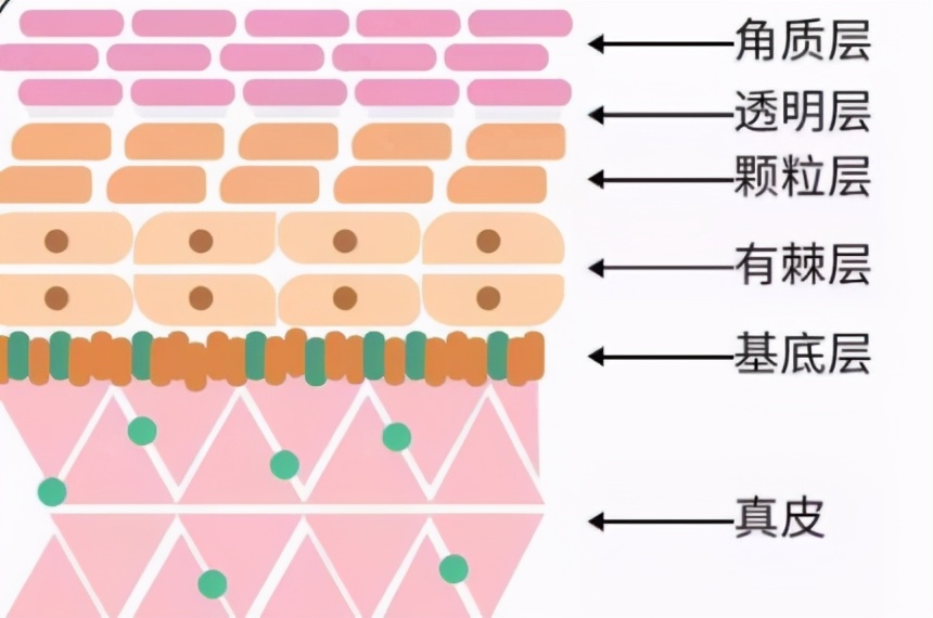 3个变白方法，其实是智商税，30-50的女人很容易模仿