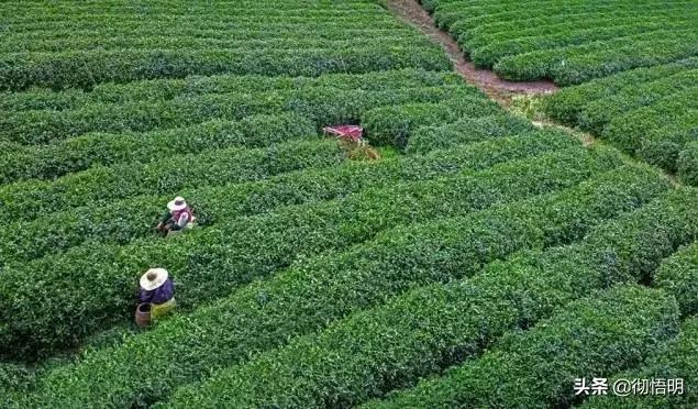 江苏旅游西山岛攻略图文,内湖洞庭西山岛