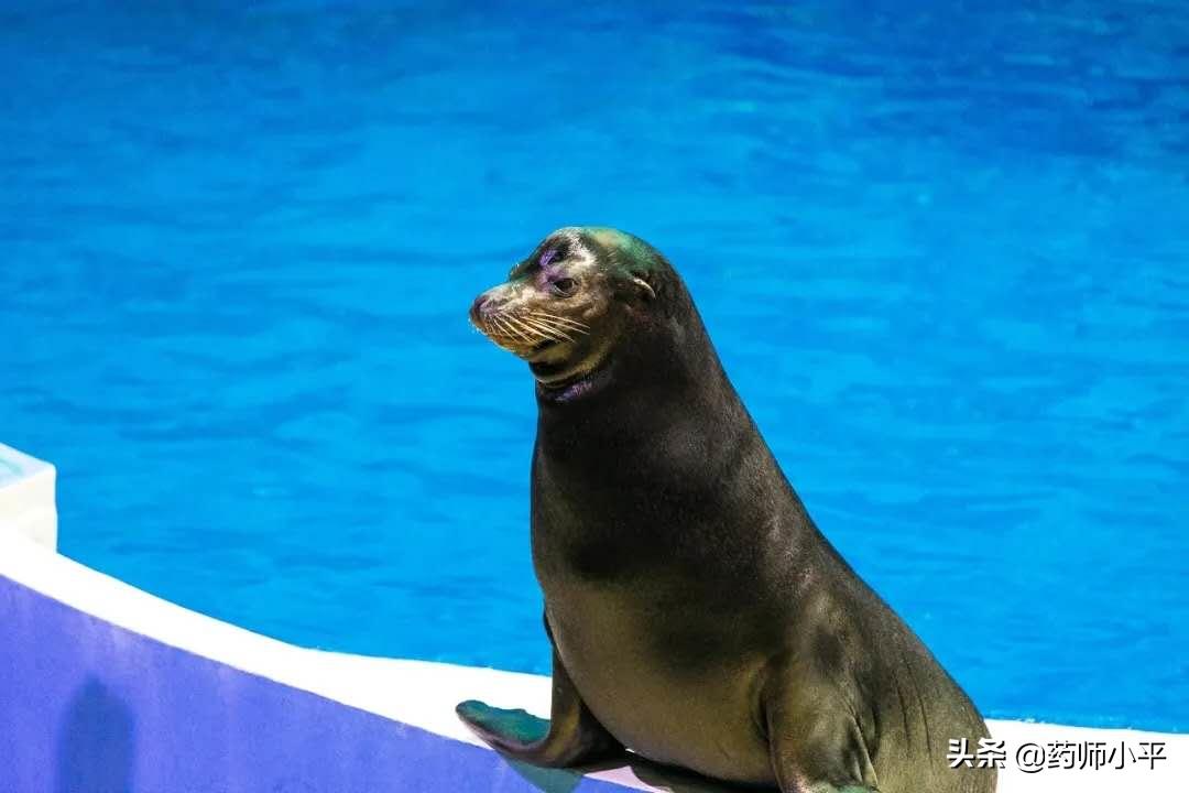 南京牛首山医护人员免费么,南京哪些景点对医护及配偶免费