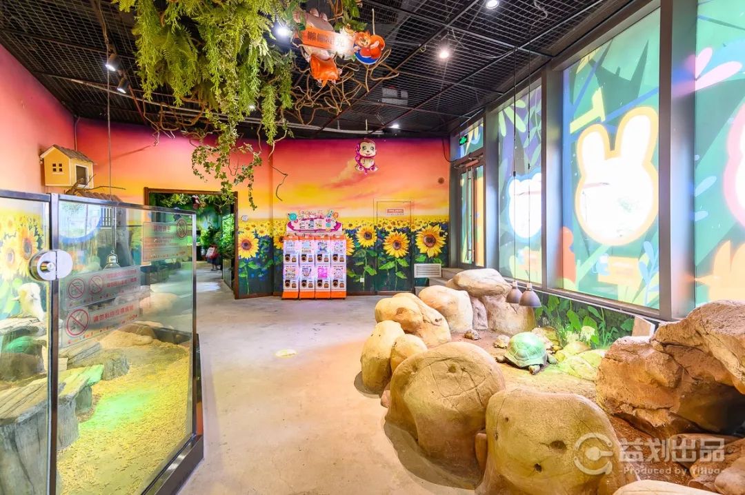 大连么么哒动物园 (大连小众动物园)