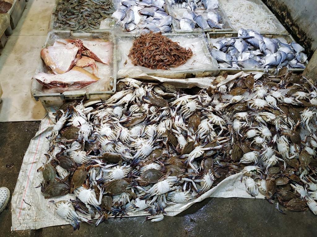 去菜市场必买的蔬菜,菜市场比较畅销的蔬菜有哪些