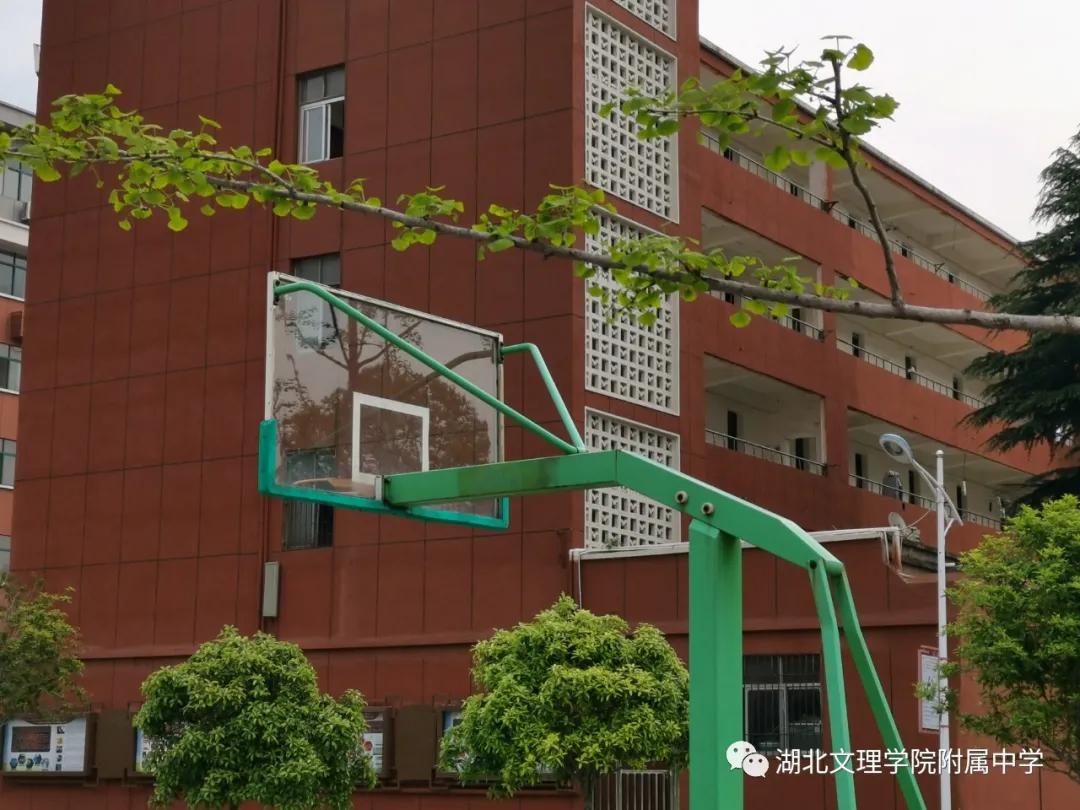 湖北文理学院疫情影响,湖北文理学院的疫情怎么样