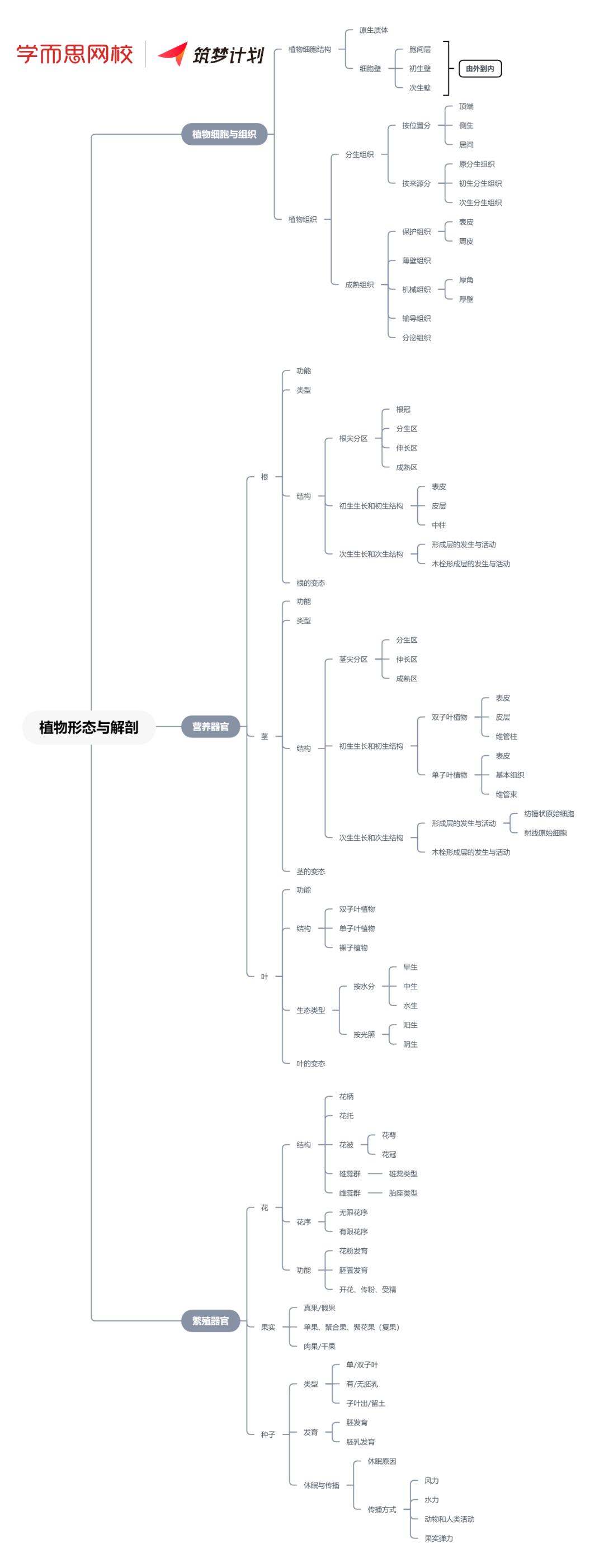 植物学知识点总结,植物学知识点框架总结