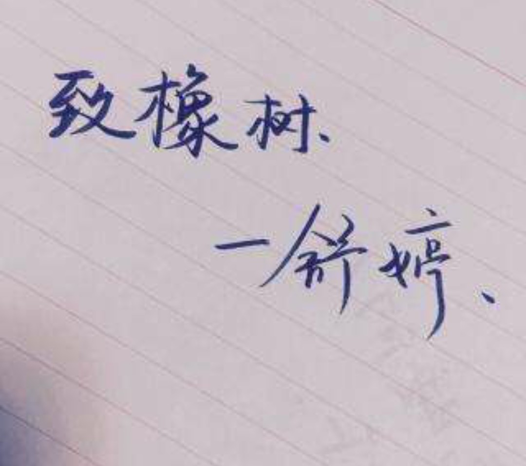 致橡树它们分别代表怎样的爱情观,致橡树向往的爱情是什么意思