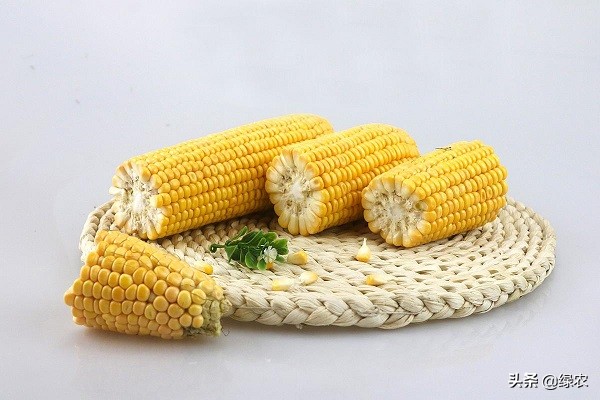 哪个玉米最好吃卖得最快,玉米最好吃的是哪种