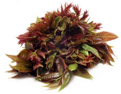 忆清明祖辈给我们留下了什么?