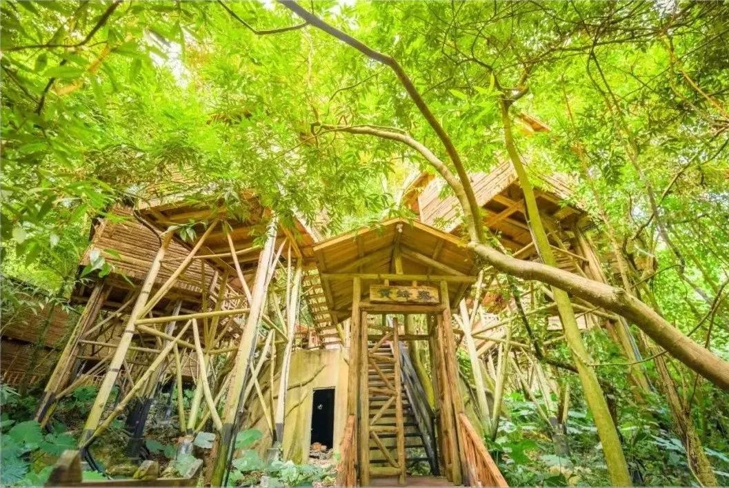 广东小众的天然温泉,距离广州最近的野温泉