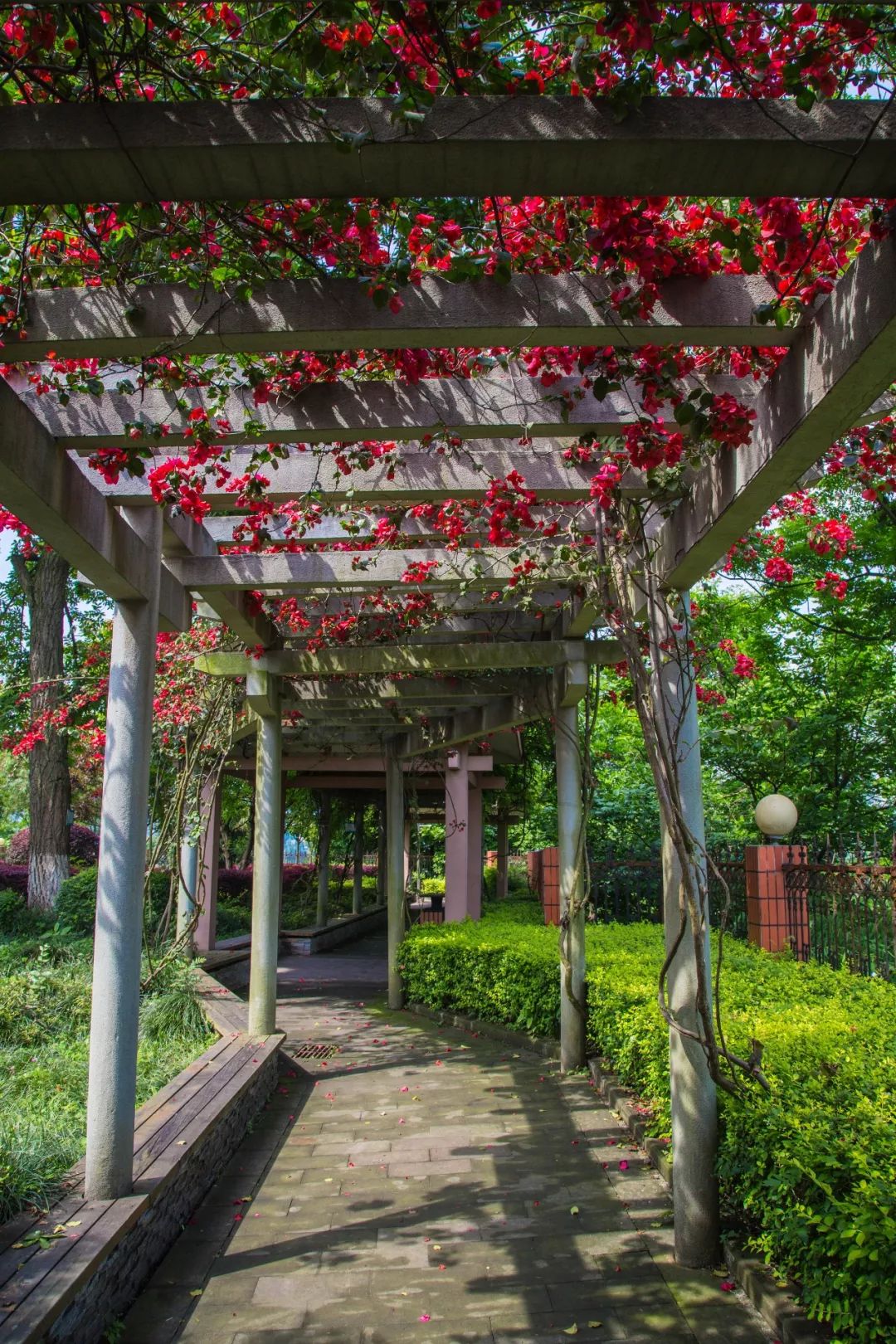 西大附中浐灞中学师资力量,西大附中学校环境