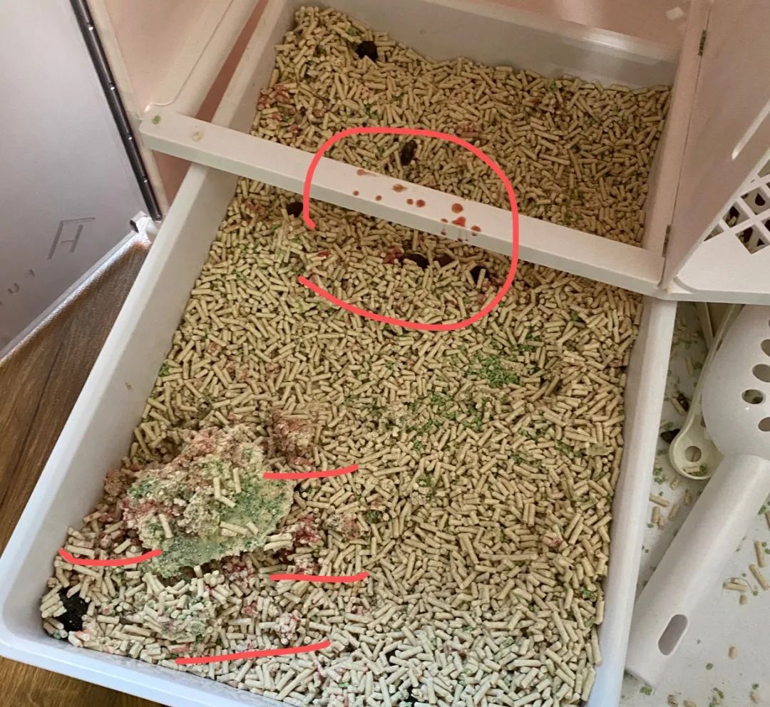 小佩宠物饮水机漏水,小佩饮水机漏电对宠物有害吗