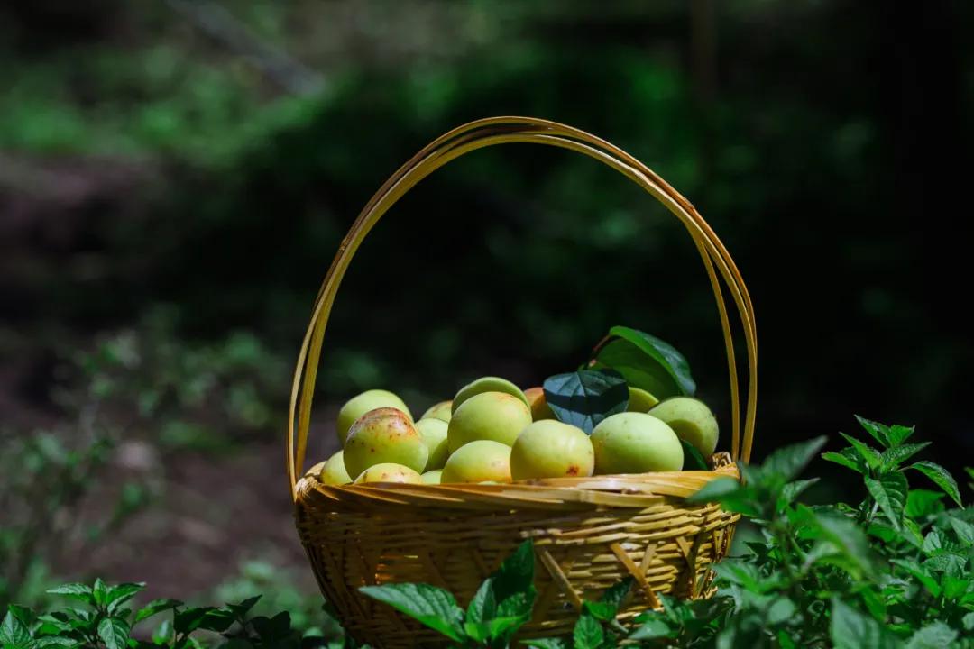 鑵惧啿闆曟鏁欑▼,鑵惧啿闆曟