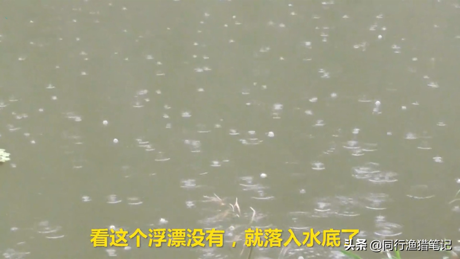 野钓流水怎么调漂准确又快,野钓万能4步调漂法