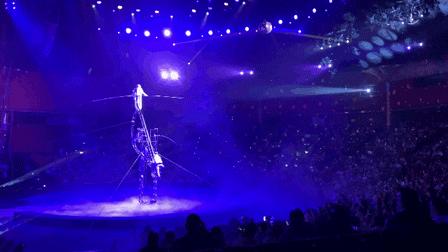 黄金周不用做攻略,这个海洋+科技的超大主题乐园,全家人都尽兴