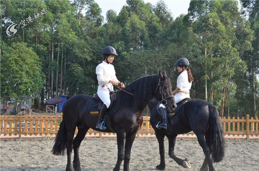 空港花田有什么特色,空港花田最好的地方