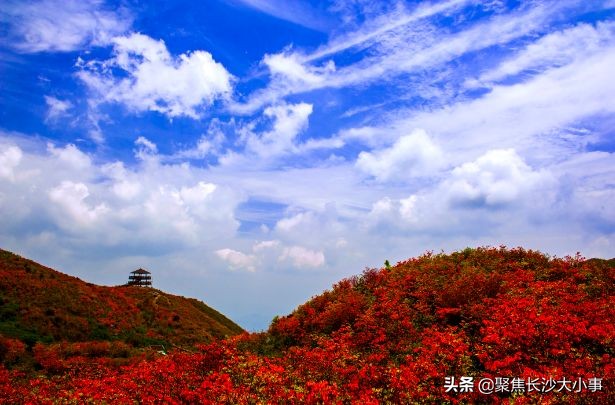 湖南浏阳市有多大,浏阳相当于长沙的一个区吗