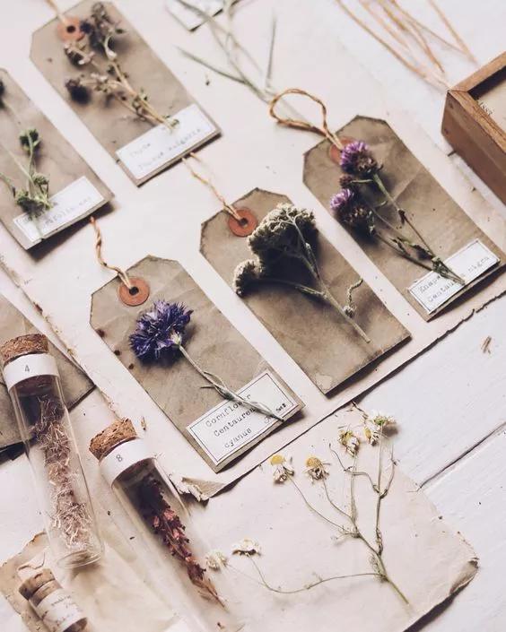 她用这种高颜值的干花装饰家里,隔壁邻居都惊叹不已