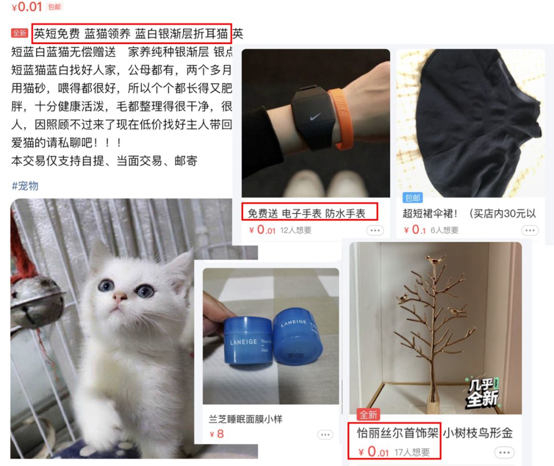 在闲鱼上免费捡便宜，让我想起逛goodwill的留学生活