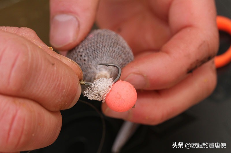 话说欧鲤钓组全集,欧鲤钓法pva