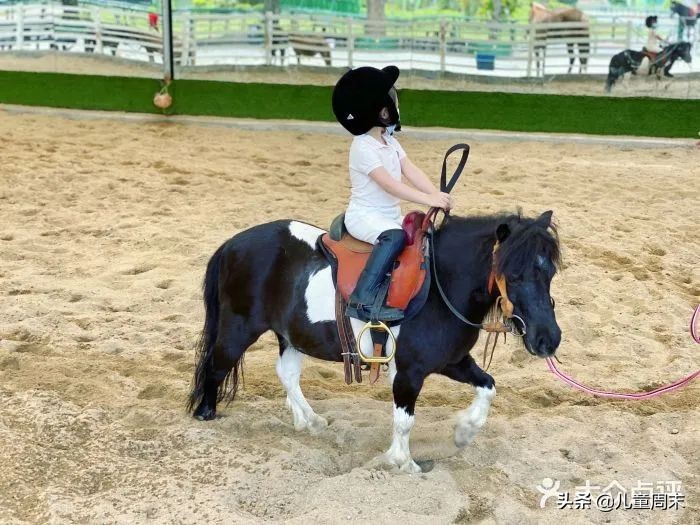 深圳海边骑马地点推荐,深圳骑马最佳地点