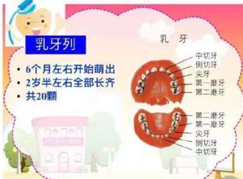 两岁半小孩牙齿腐烂了怎么治疗,小孩两岁半牙齿没长齐是什么原因