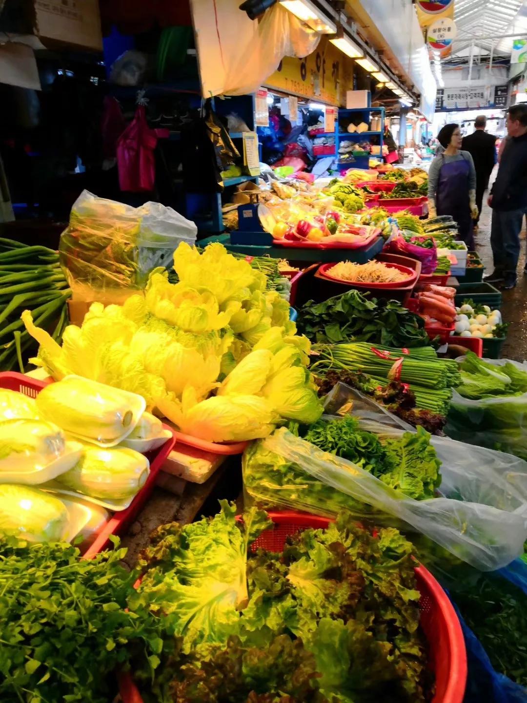 心血来潮去爬山,想去济州岛看海