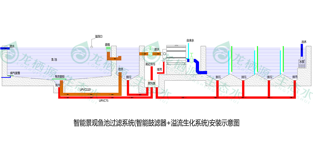 锦鲤鱼池过滤系统推荐,锦鲤鱼池过滤系统的施工过程