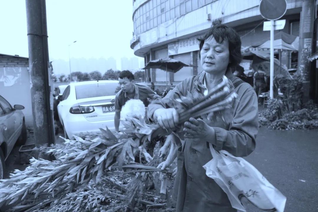 津门网李学群：2017年的端午