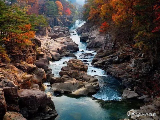 疫情中唯一没有失守的岩手县，你真的没有好好认识过它！