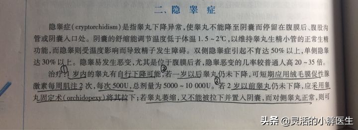 蛋蛋只有一个会影响生育吗,如果只有一个卵囊能去做试管吗