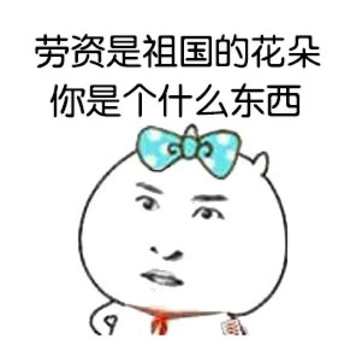 养猫包包,养猫保健药