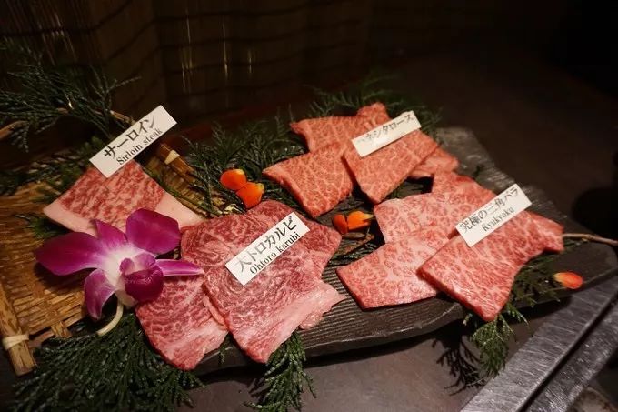 日本的樱花又开了哦,日本樱花又开了是什么梗