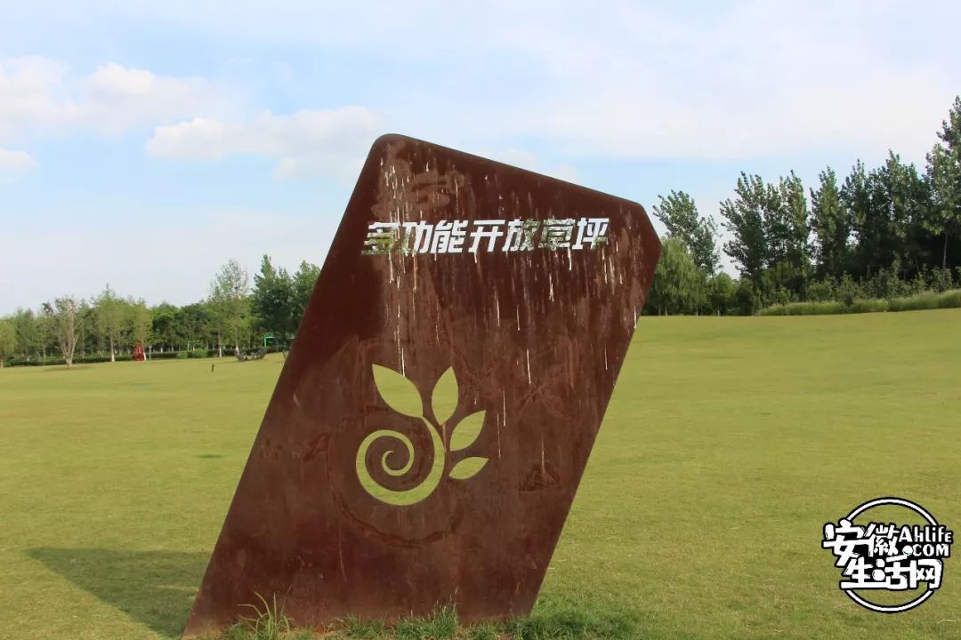 庐阳老城内藏着一处最大的综合性森林公园，人少景美，关键还免费