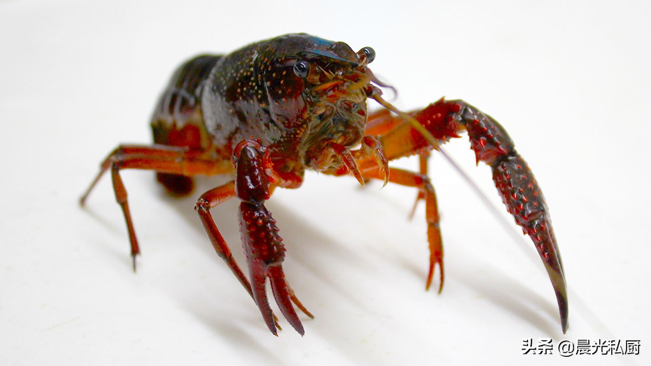 麻辣小龙虾用几种酱料,麻辣小龙虾用什么调料好吃